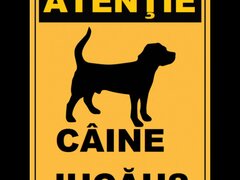 Placuta atentie caine jucausi
